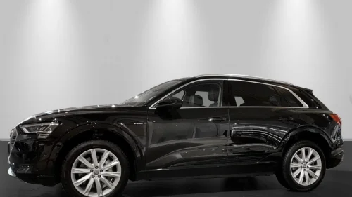AUDI e-tron 55 quattro Matrix lys