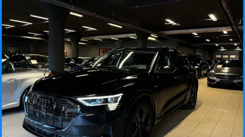 AUDI e-tron E-Tron 55 / ACC / Virtual / 360 Kamera / HUD / Ambient
