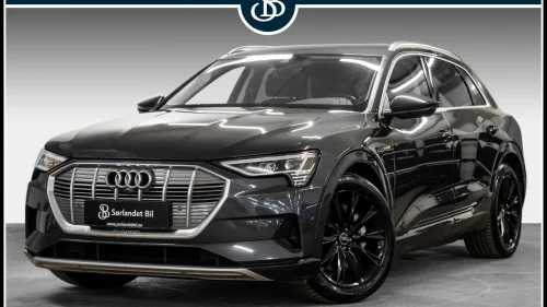 AUDI e-tron 50 50 / SKINN / ACC / 360º KAMERA / KROK