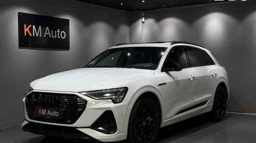 AUDI e-tron 55 55 QUATTRO 2xS-LINE / PANO / ACC / MATRIX / B&O / LUFT+