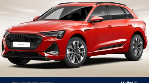 AUDI E TRON 55 55 S Line Sport - 360Kam, B&O, Matrix, Krok