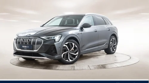 AUDI E TRON 55 55 S Line Sport - B&O, 360kam, Skinn, Matrix, Krok, 21"