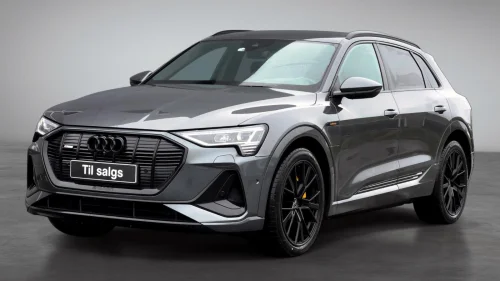 AUDI E TRON 55 55/S-Line Sport/Black line/HUD/LED Matrix/Bang Olufsen