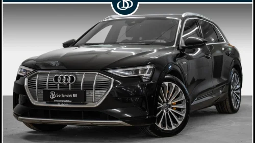 AUDI e-tron 55 / S-LINE / ACC / SKINN / PANORAMA / KROK / 21" ALU