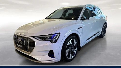 AUDI e-tron 55 Advanced Exclusive|HUD|Matrix|H.feste|B
