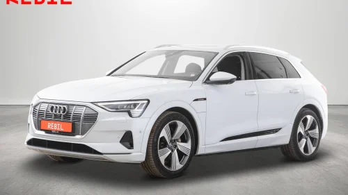 AUDI e-tron 55/360kam/ACC/Luft/Matrix/HUD/Navi/Krok