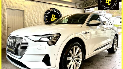 AUDI e-tron 50 50/Advanced Business/Quattro/Sport/Adaptive luft/EU2026