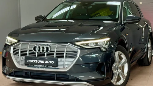 AUDI e-tron 55 55 QUATTRO ADVANCED BUSINESS / SKINN / H.FESTE / ACC++