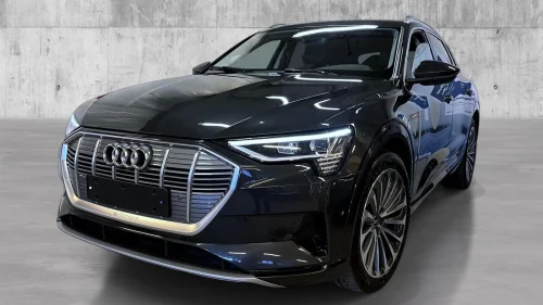 AUDI e-tron 50 50 QUATTRO / ACC/ LUFT/ KAMERA/ NAVI / CARPLAY++