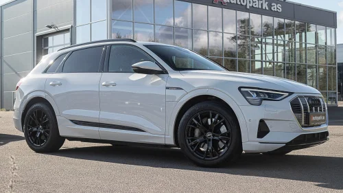 AUDI E TRON 55 55 SKINN/EL-SETER/HENGERFESTE/ADAPTIV/LUFT/CARPLAY++
