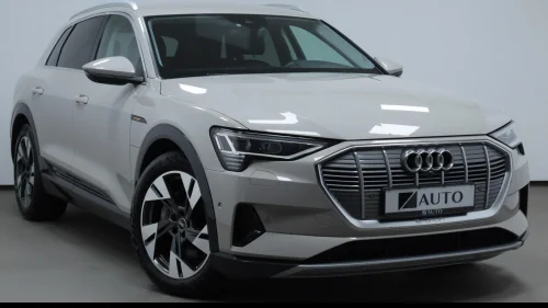 AUDI E TRON 55 55 Q ADVANCED BUSINESS/1EIER/SKINN/ACC/360/KROK/MATRIX
