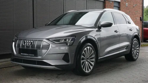 AUDI E TRON 55 55 Advanced Bang & Olufsen/Memory/21"/360/Skinn /Matrix