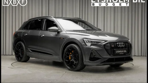 AUDI e-tron 55 55 SUV 2x S-Line/Krok/Matrix/Svart optikk/B&O/Pano/21"+