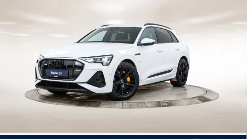 AUDI E TRON 55 55 S line Sport - B&O, Skinn, Matrix, Luft Sport, 21"
