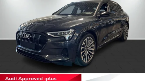 AUDI e-tron 55 exclusive R.kam/H.feste/B&O/Matrix/Head-up/+++