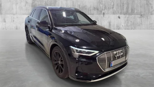 AUDI e-tron 50 e-Tron 50 Quattro Advanced / S.seter / Navi / 360 Kam++