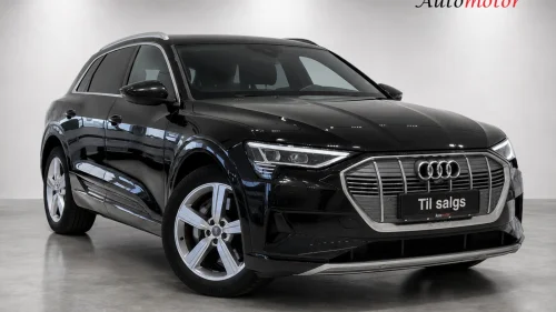 AUDI e-tron 50 50 Advanced/S-line/Alcantara/Navi/ACC/DAB/H.Feste/1Eier