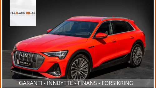 AUDI e-tron 55 55 S-LINE/ACC/DELSKINN/SP.SETER/HEAD-UP/KAMERA/LUFT++