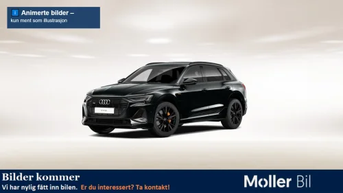 AUDI E TRON 55 55 S line Sport 21",B&O,Matrix,Krok++