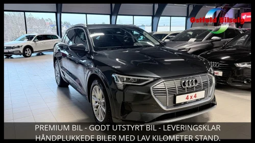 AUDI E TRON 55 E TRON 55 ADVANCED S-LINE ACC LED MATRIX KAMERA KROK
