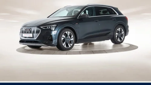 AUDI E TRON 55 55 Advanced Sport|HFeste|360|Matrix|ElSeter|ValconaSkin