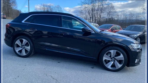 AUDI e-tron 55/Skinn/Matrix/360/Hud/Navi/Dab+/H-Feste/Soltak/
