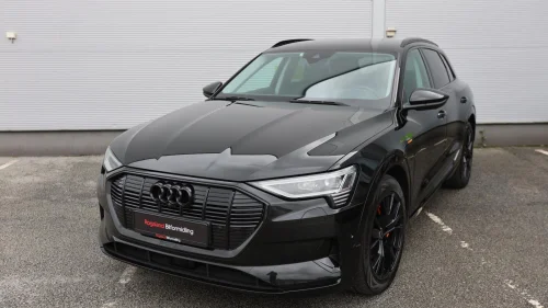 AUDI e-tron 55/Advanced/Fast-Track/All-Black/ACC/Matrix/360*/Krok++