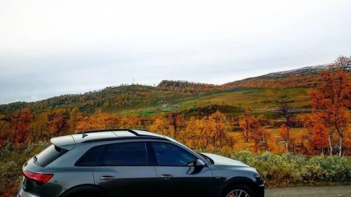 AUDI e-tron 55 55 S line