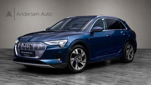 AUDI e-tron 55 55 quattro Advanced - Matrix - HUD - 360 - H.feste ++