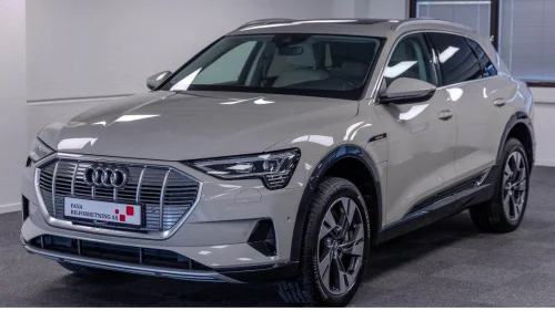AUDI e-tron 50 50/Advanced/AWD/skinn/kam/Panorama/ACC