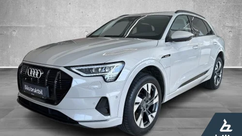 AUDI e-tron 50 19¨ ALU FELG APPLE CARPLAY R.KAMERA DAB+ NAVI ACC