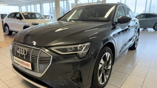 AUDI e-tron 55 55,Advance Business,360,Kamera,4x4,Bang & Olufsen, Krok