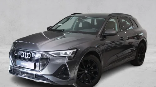 AUDI E TRON 55 55 S-LINE | LED MATRIX | ACC | HENGERFESTE |