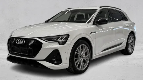 AUDI e-tron 55 55 S line HUD-Nightvision-Matrix-S-line ++++