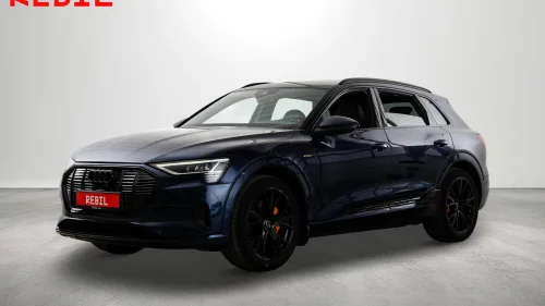 AUDI E TRON 50 50/Quattro/ACC/Delskinn/Krok/Luft/Navi/R.kam/DAB/El.bak
