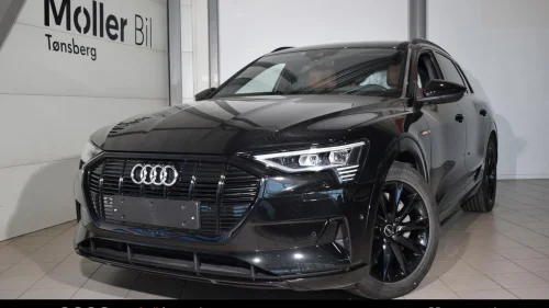 AUDI E TRON 55 55 Advanced Sport /B&O /Matrix /Skinn /H.feste+++