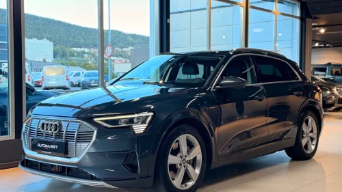 AUDI e-tron 55-ACC-360g KAMERA-SKINN-4S KLIMA-AMBIENT-H FESTE
