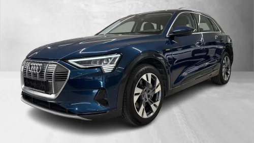 AUDI e-tron 55 QUATTRO/KROK/DAB/NAVI/DELSKINN/HUD/MATRIX