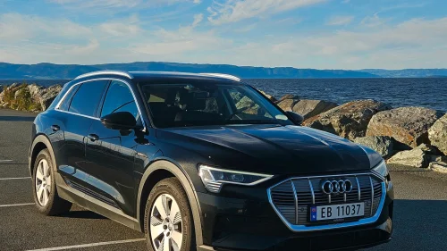 AUDI e-tron 55 ADVANCED NORSK 1-EIER ACC SKINN NAVI LED KAMERA DAB+