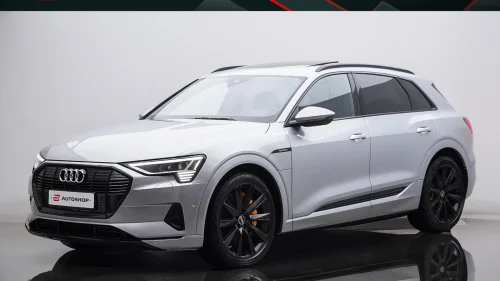 AUDI e-tron 55 S-LINE BLACK PACK PANO HEAD UP 360 MATRIX NORSK++
