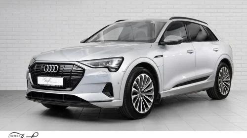AUDI e-tron 55 55 Advanced Exclusive 360-KAMERA/EL.SETER/H.FESTE/PANOR