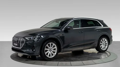 AUDI e-tron 50 50 Advanced Business H.FESTE|20"|360|AMBIENTE|SKINN++