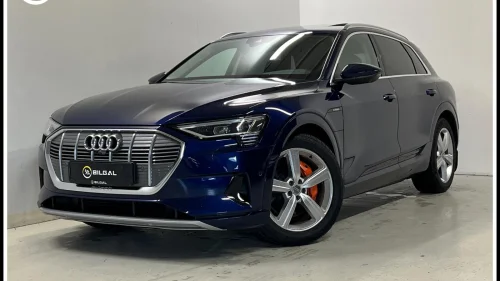 AUDI e-tron 50 50 quattro Sport Bang/Olufsen 360-Kamera Panorama Krok