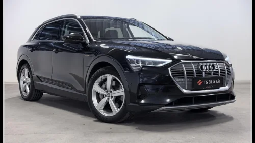 AUDI e-tron 50 50 quattro 313hk Advanced Business - ACC/SKINN/360/KROK