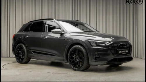 AUDI e-tron 55 55 SUV/Svart optikk/Krok/Bang&Olufsen/Rkam/LED/ACC/Luft