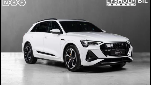 AUDI e-tron 55 55 S Line Black Pack /Valcona/Krok/B&O/El.seter/360kam/