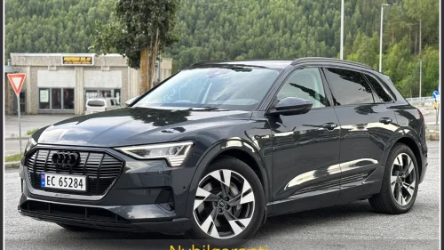AUDI E TRON 55 E-TRON 55 Adaptiv cruise/ 426hk/R.kam/Front kamera/+++