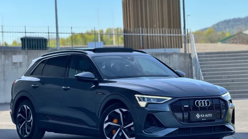 AUDI E TRON 55 55/S-Line/CC/360 Kam./Pano/Minne/H.Feste/Apple Carplay