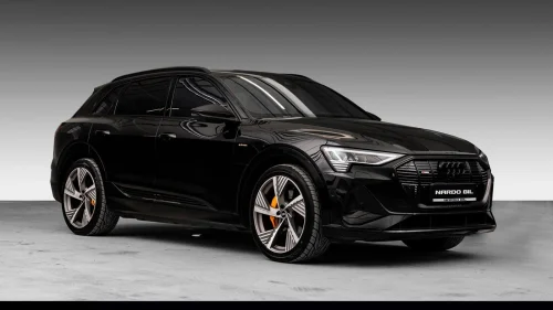 AUDI E TRON 55 55 S-line/B&O/Krok/360/Matrix