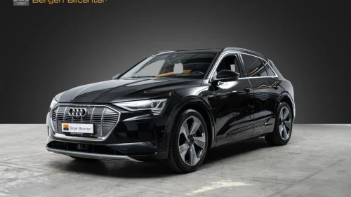 AUDI e-tron 55 H-Feste Pano-tak Bang&Olufsen 360-kam Head-Up